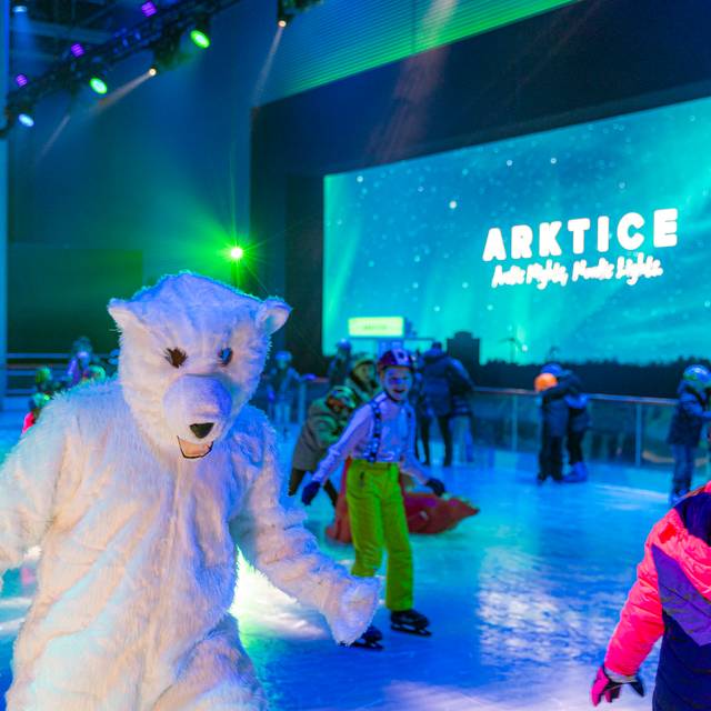 Die Eisfläche bei ARCTIC ©RADIO WMW