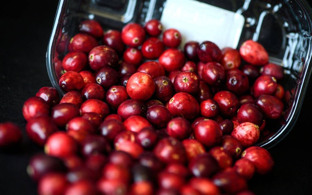 Cranberrys liegen in einer Schale