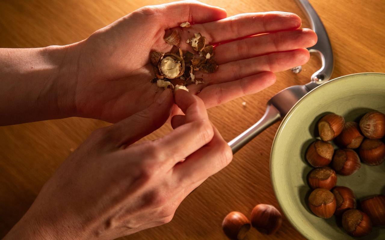 Geschälte Haselnuss liegt auf einer Hand