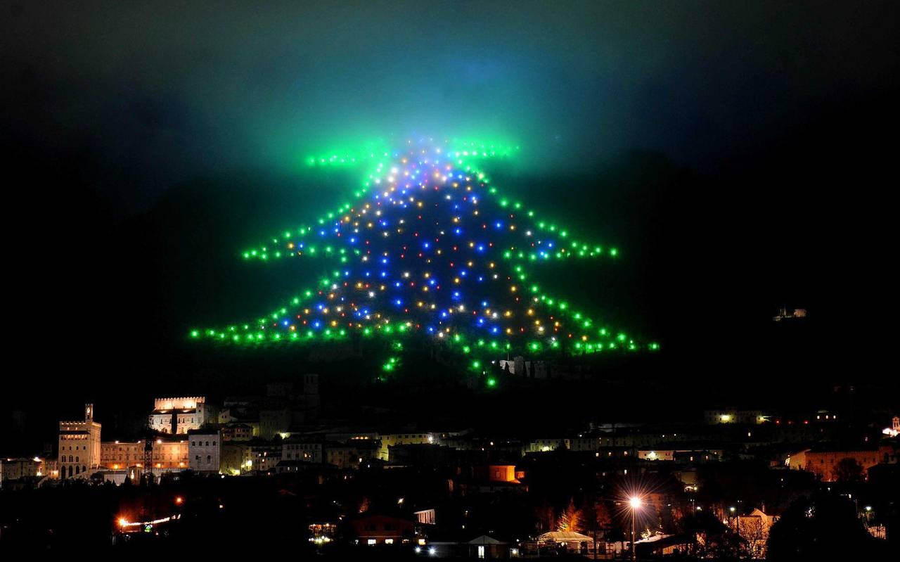 Weihnachtsbaum an den Hängen des Monte Ingino im Apennin