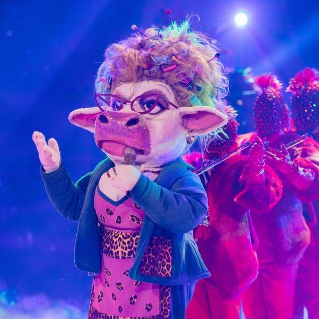 „The Masked Singer“ - Finale