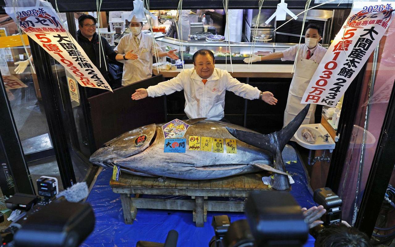 Erste Thunfischauktion des Jahres in Tokio