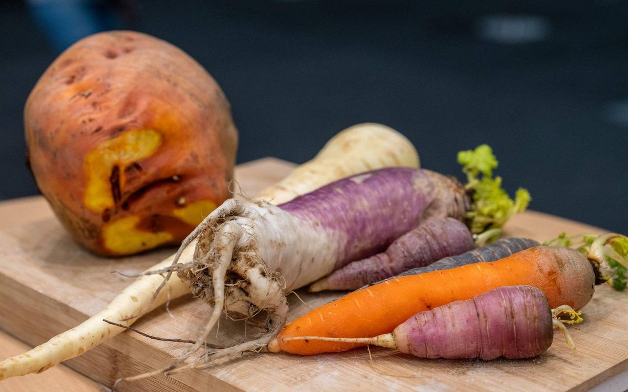 Gelbe Rote Bete neben einer Mairübe und Karotten