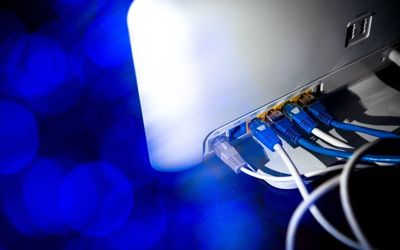 Zahlreiche Netzwerkkabel stecken in einem Router