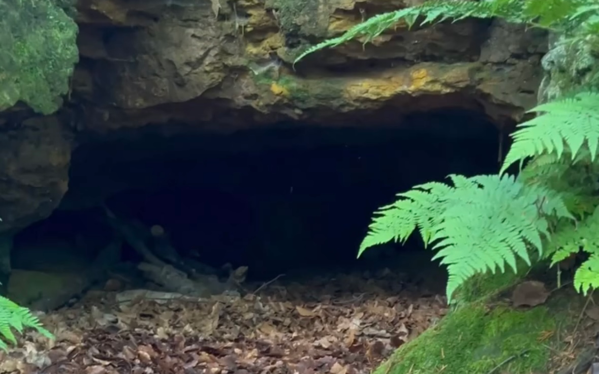 Der Blick auf den Eingang der "Brotmanns Höhle" in Dorsten