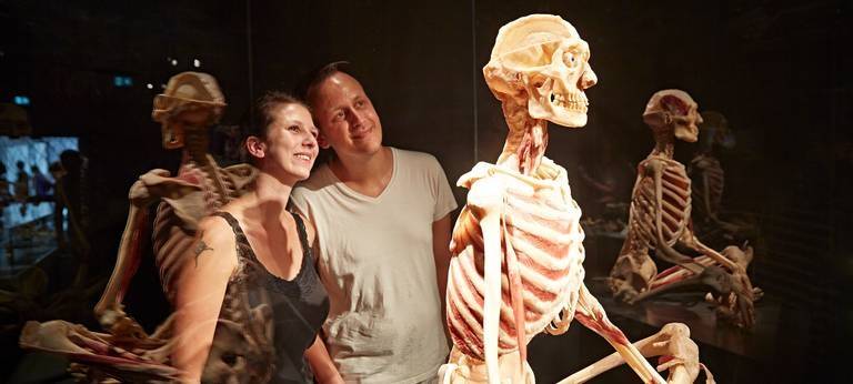 "Körperwelten" kommt nach Münster