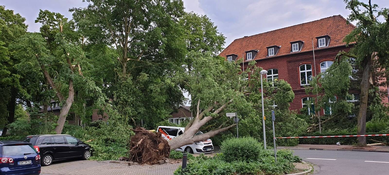 Teure Baumentsorgung nach Tornado