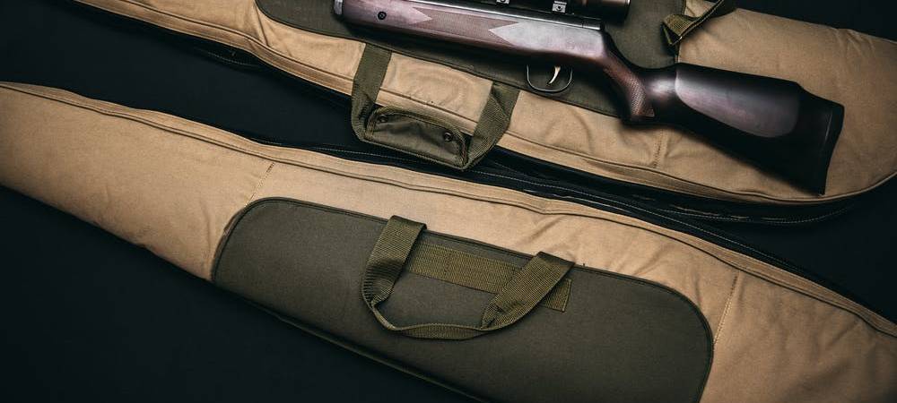 Jagd auf Wölfe soll bald erlaubt sein