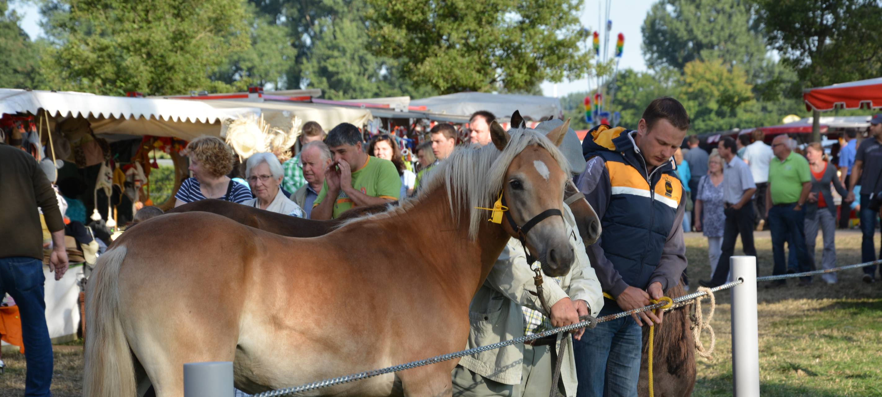 Legdens Bürgermeister bedauert Aus für den Düstermühlenmarkt