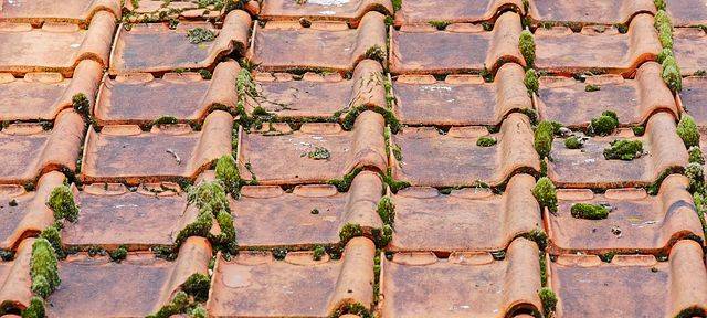 Lohnerhöhung für Dachdecker im Kreis Borken