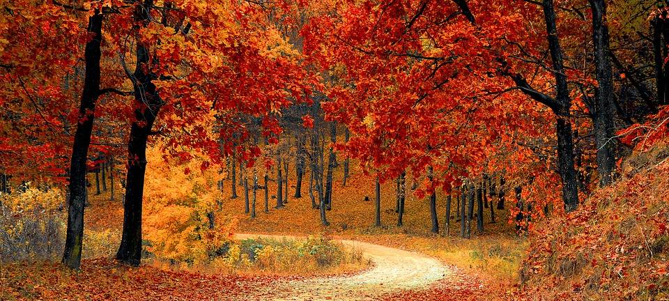 Drei Gründe warum wir den Herbst lieben sollten