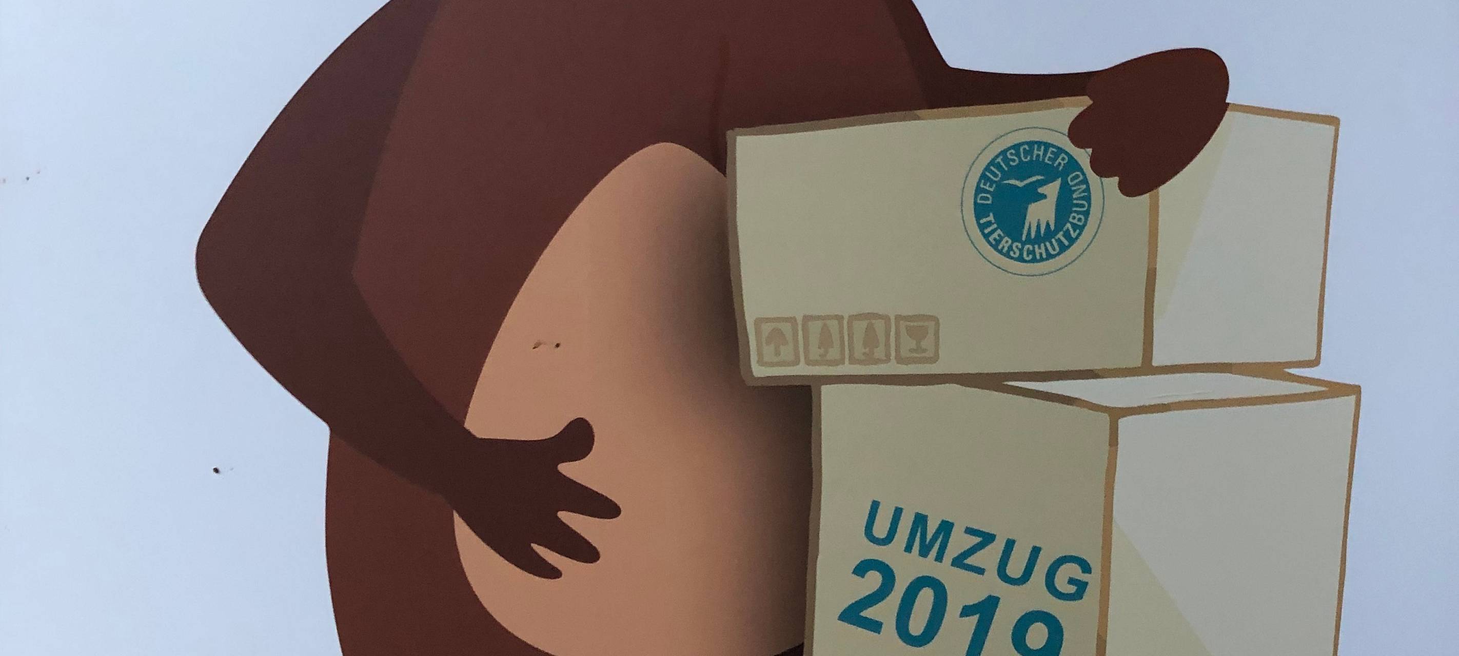 Anholter Bären ziehen um