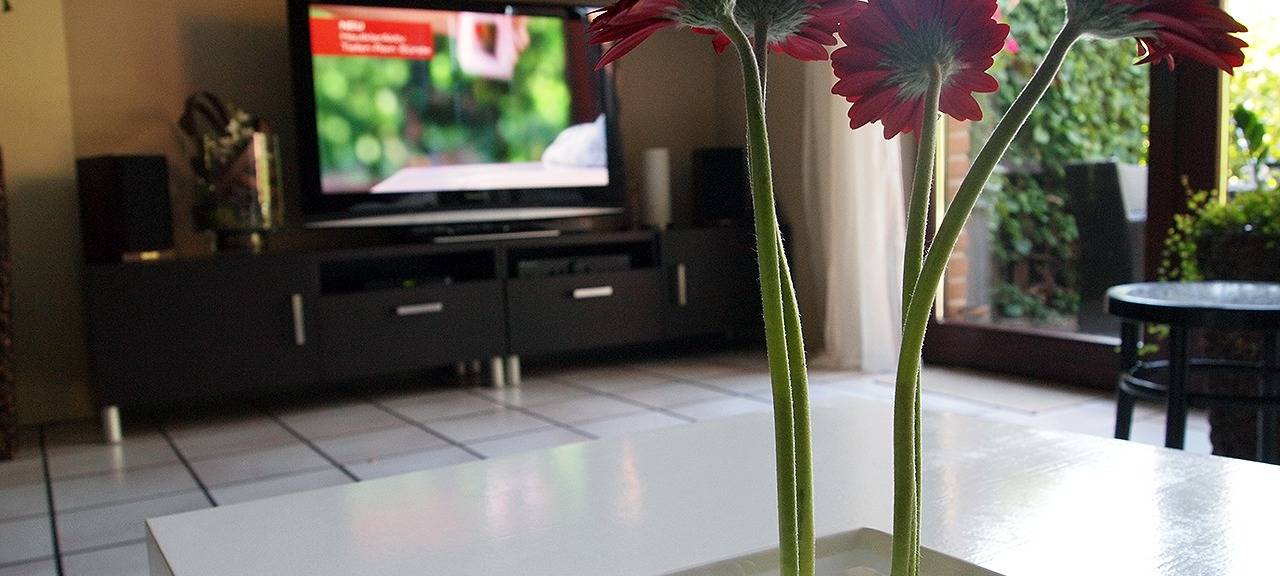 Ahaus sucht Wohnungen für Flüchtlinge