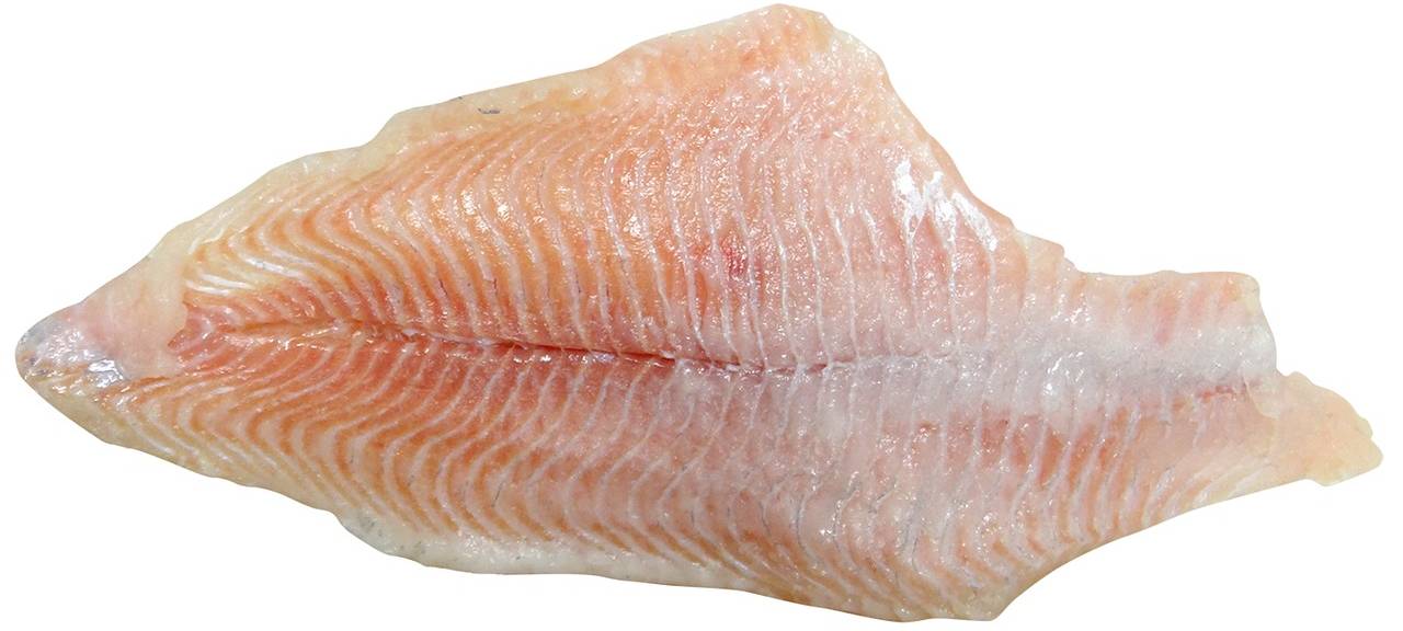 Rückruf: Pangasiusfilet REWE und Penny