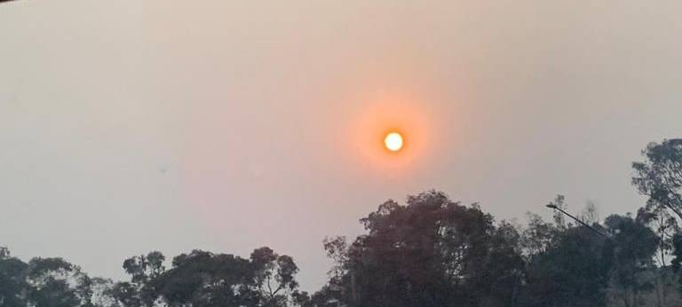 Buschbrände in Australien