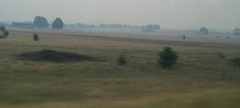 Buschbrände in Australien