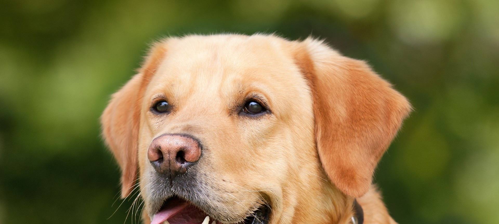 Ahaus Ärger mit Hundekot auf Spielplätzen