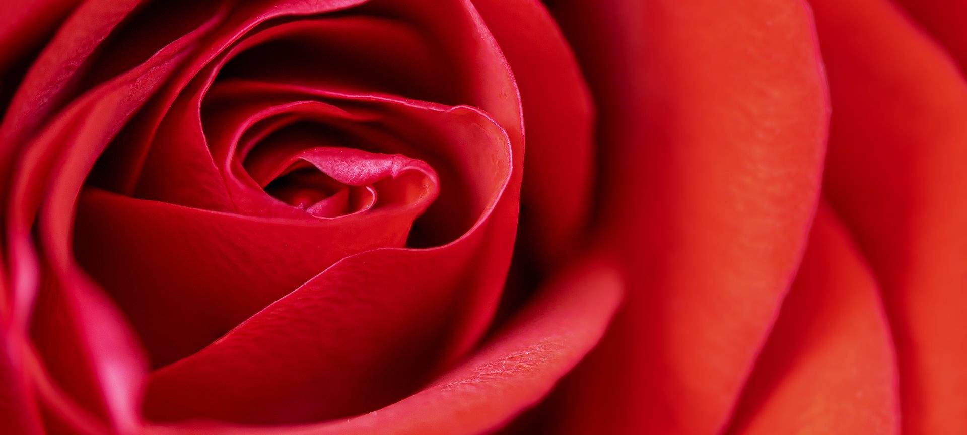 Valentinstag: abfeiern oder abschaffen?