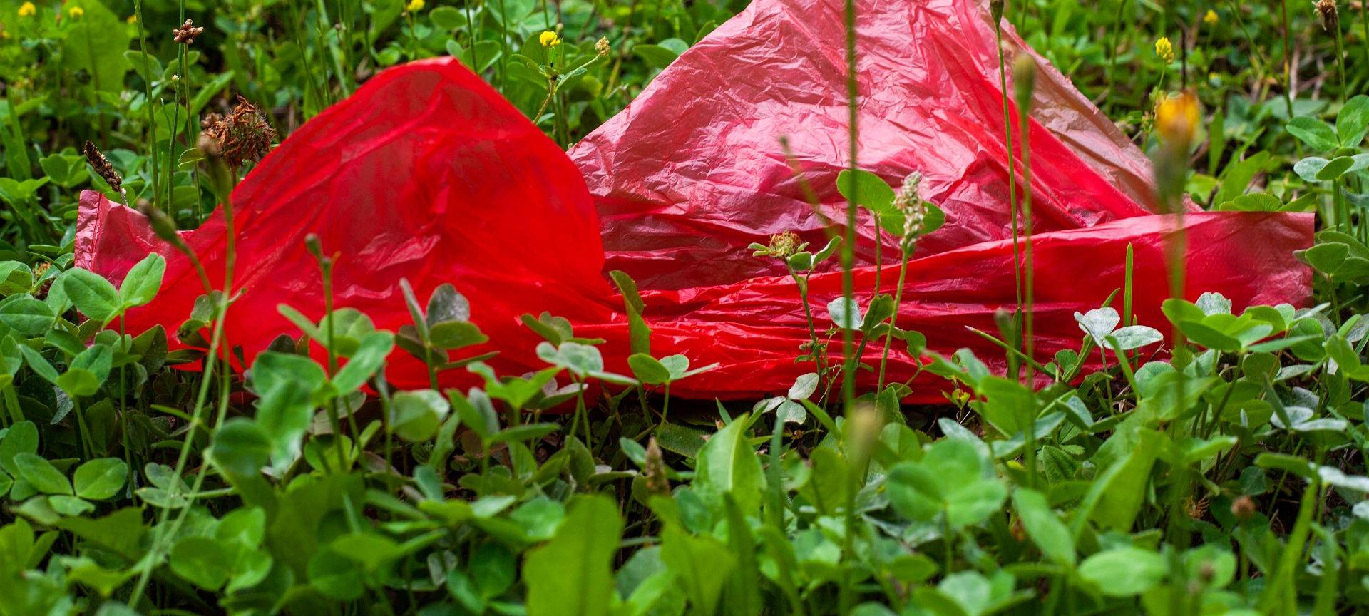 Bocholter gegen Plastikmüll