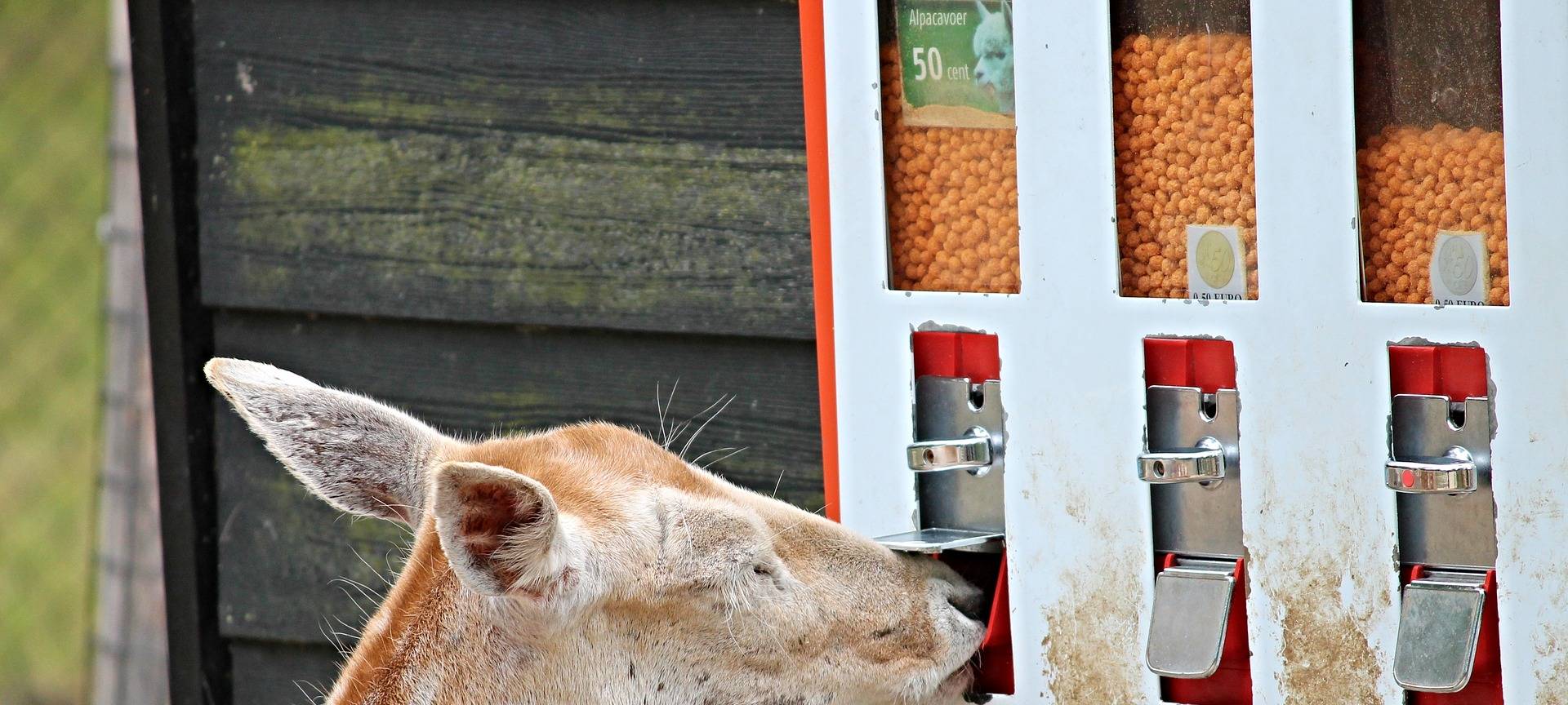 Tierparks wieder gut besucht