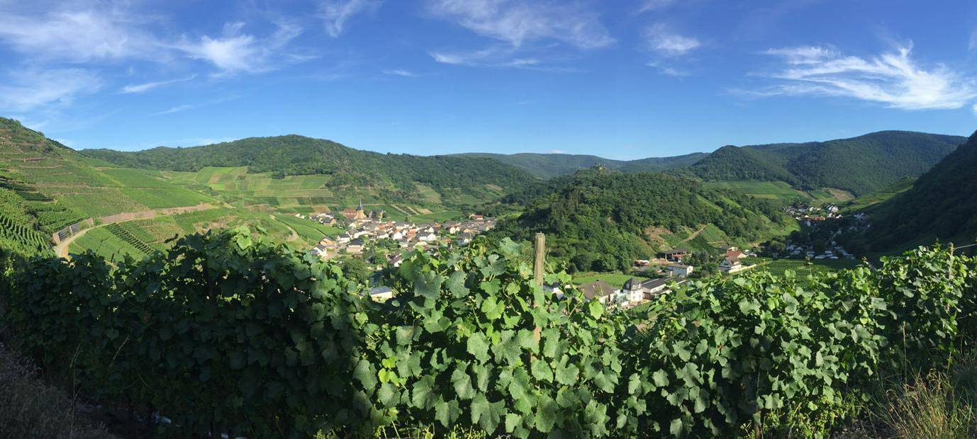 Sommer bei uns: Unsere Urlaubs-Highlights in Deutschland