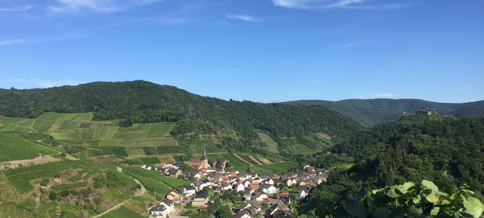 Wunsch-Sterne für das Ahrtal