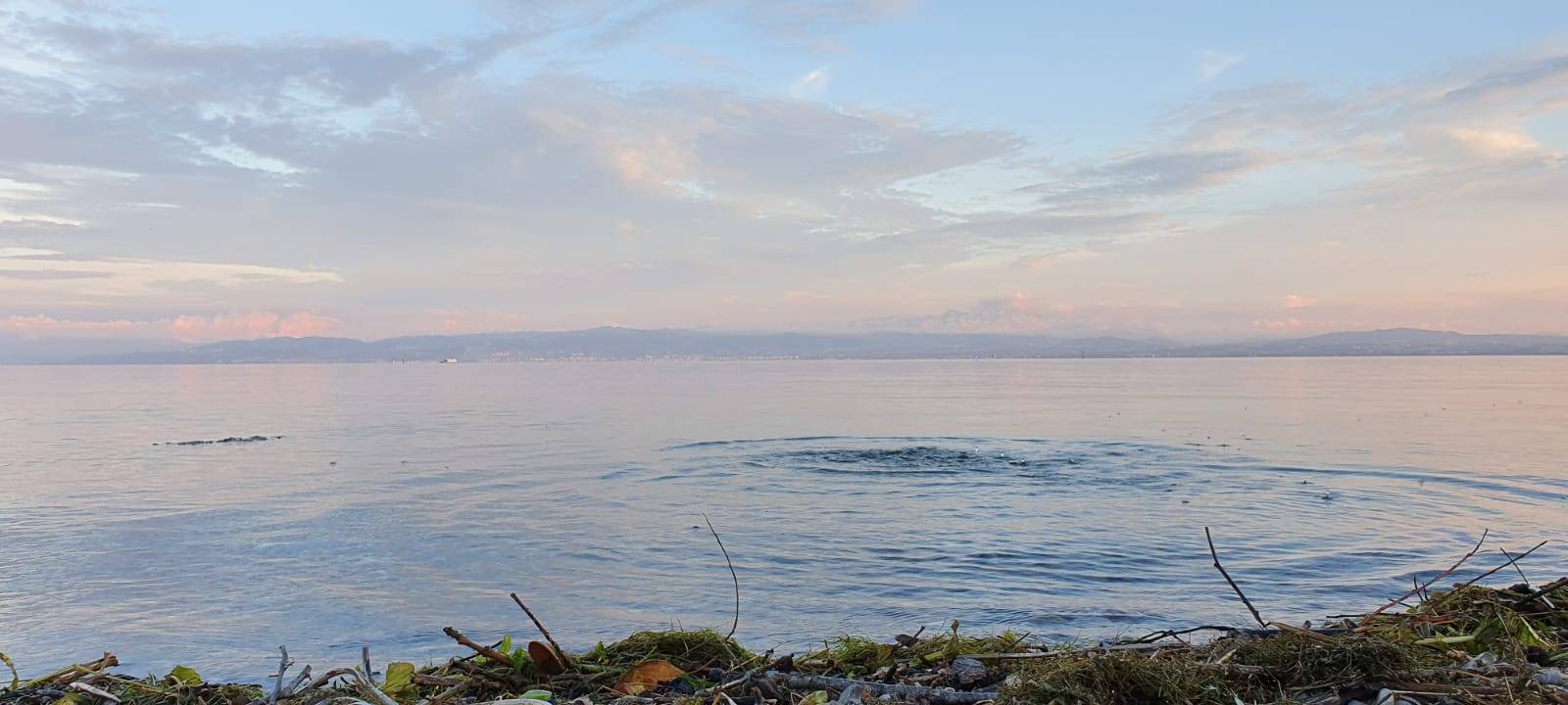 Sommer bei uns: Unsere Urlaubs-Highlights in Deutschland