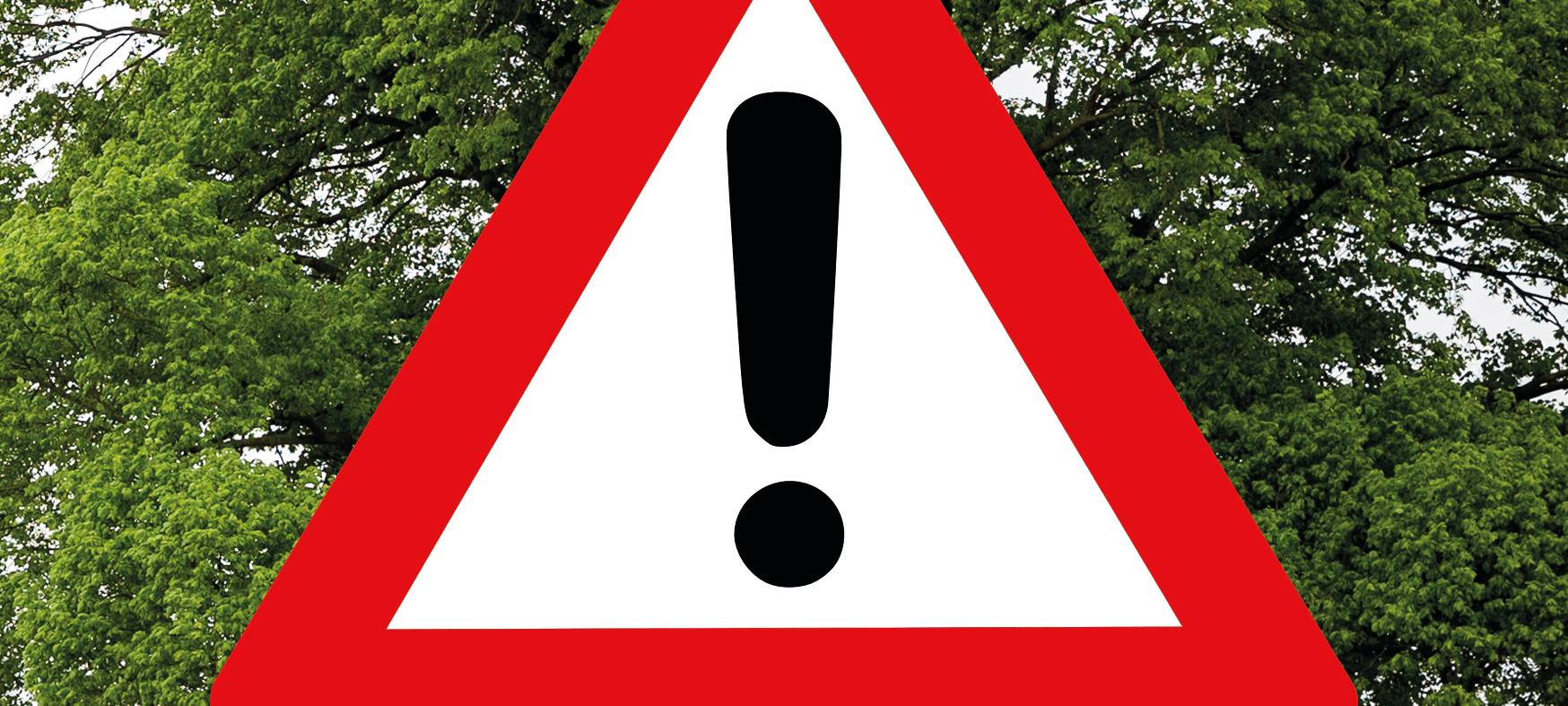 Ahaus warnt vor herabfallenden Ästen