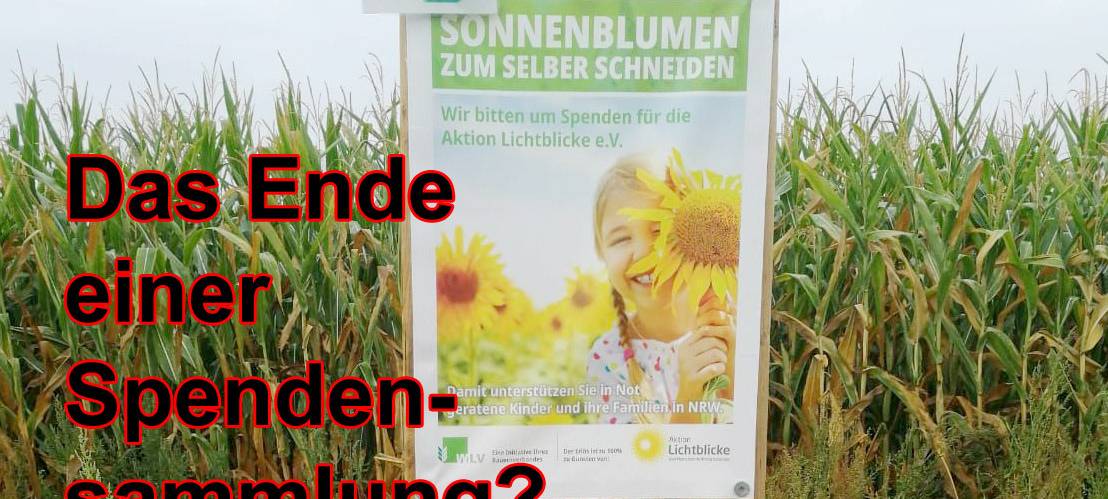 Virtuelle Sonnenblumen für Aktion Lichtblicke