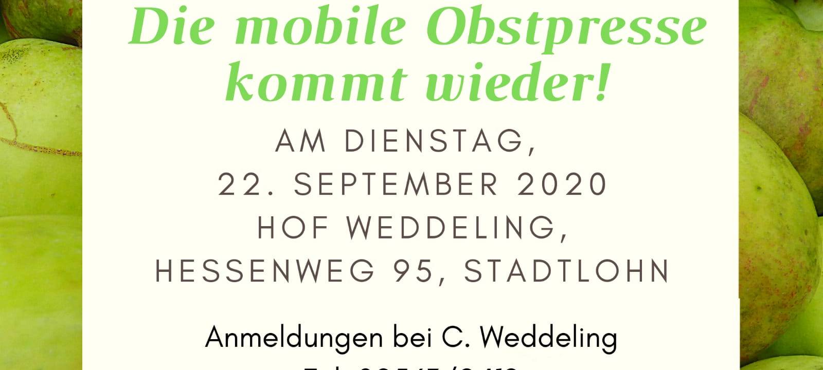 Obstbäume im Westmünsterland