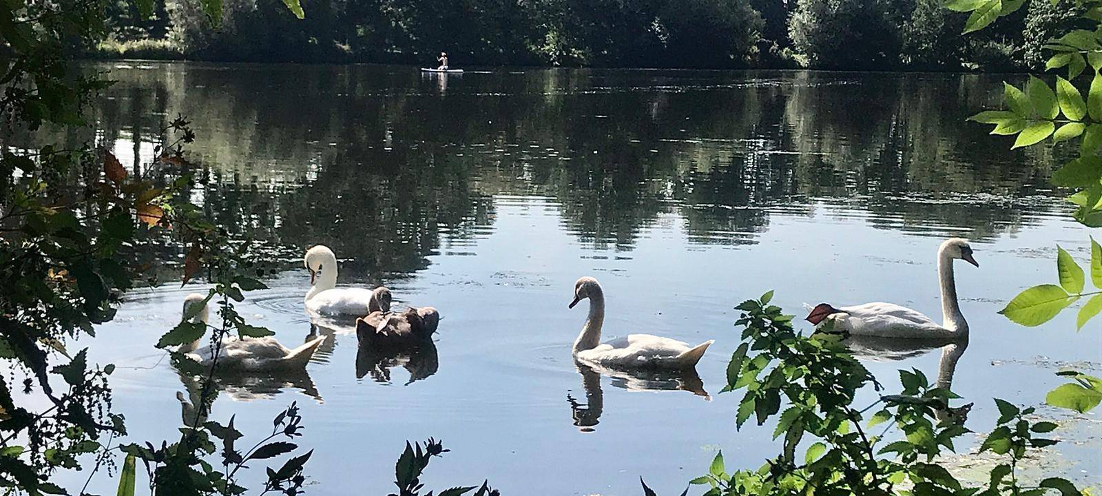 Wie und wo genießt Ihr das schöne Wetter?