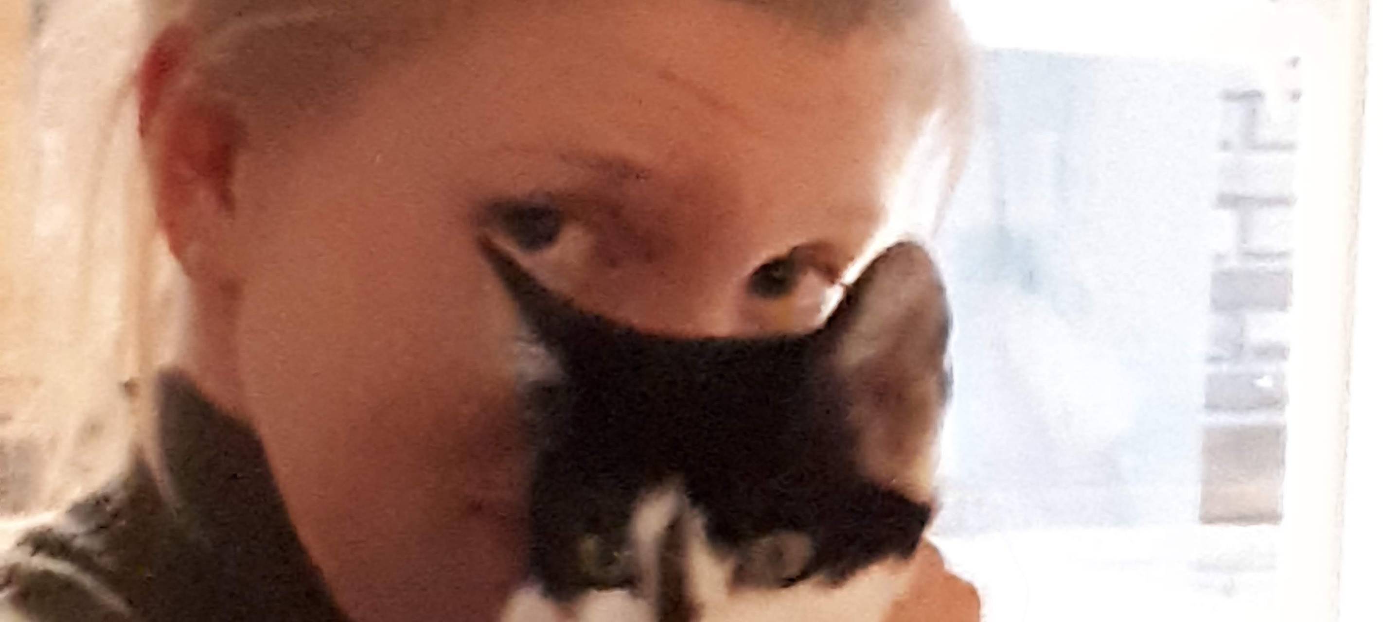Katze in Südlohn entlaufen