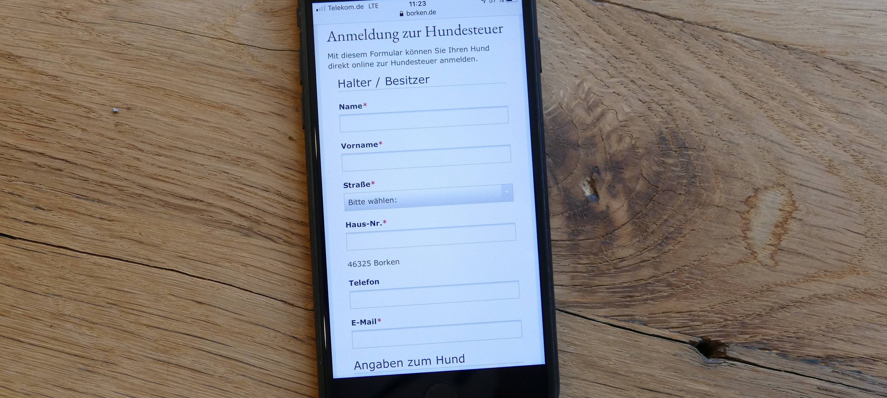 Viele neue Hundebesitzer wegen Corona