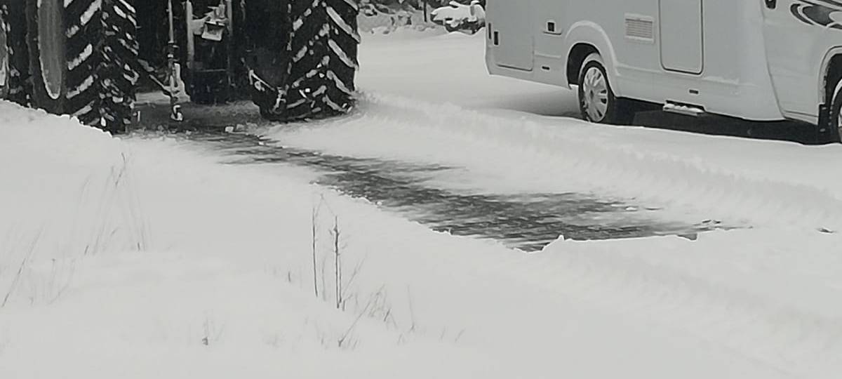 UPDATE: Flockdown im Westmünsterland