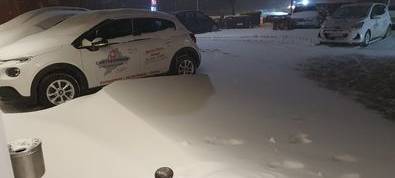 UPDATE: Flockdown im Westmünsterland