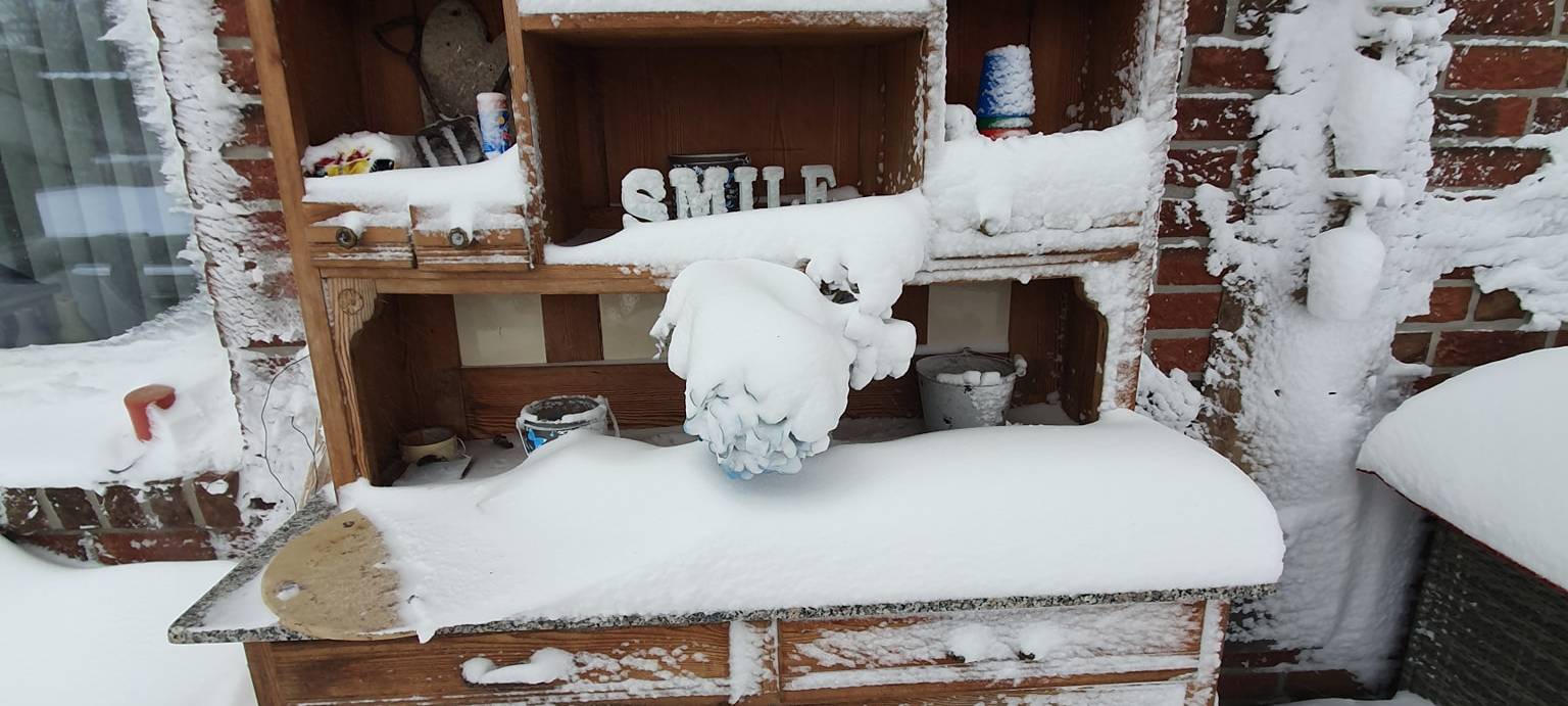 UPDATE: Flockdown im Westmünsterland