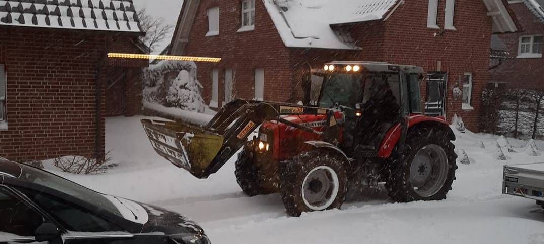 UPDATE: Flockdown im Westmünsterland