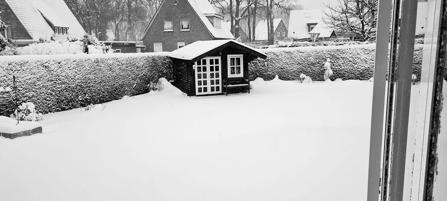 UPDATE: Flockdown im Westmünsterland
