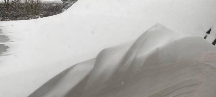 UPDATE: Flockdown im Westmünsterland