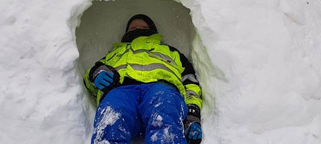 UPDATE: Flockdown im Westmünsterland