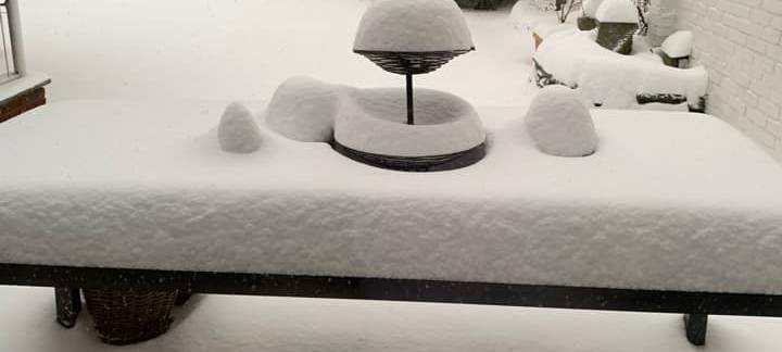 UPDATE: Flockdown im Westmünsterland