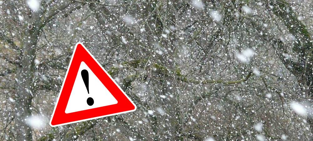 UPDATE: Flockdown im Westmünsterland