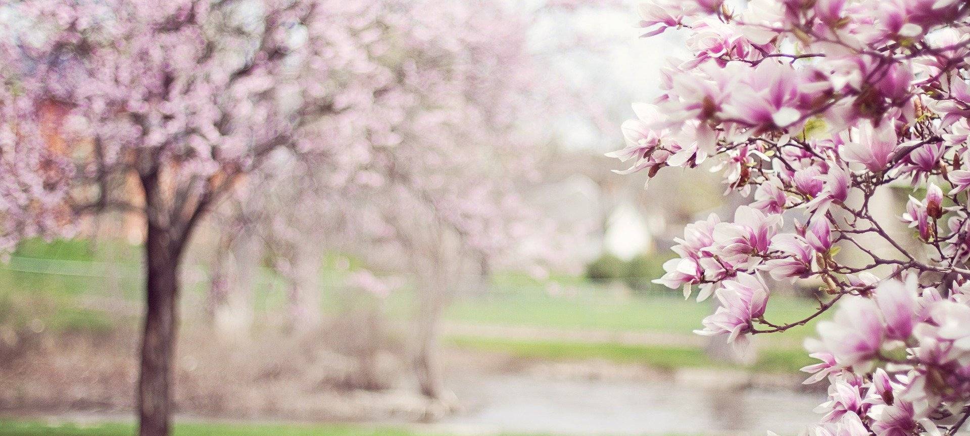 War's das mit dem Winter? Kai Zorn mit dem Wettertrend