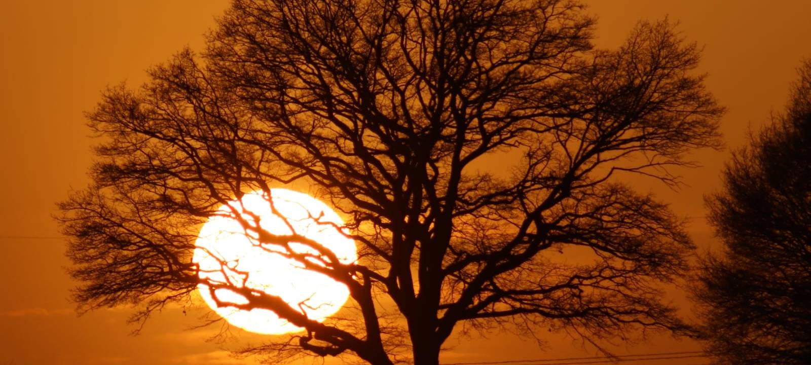 Sternschnuppen & Himmelskörper in Borken