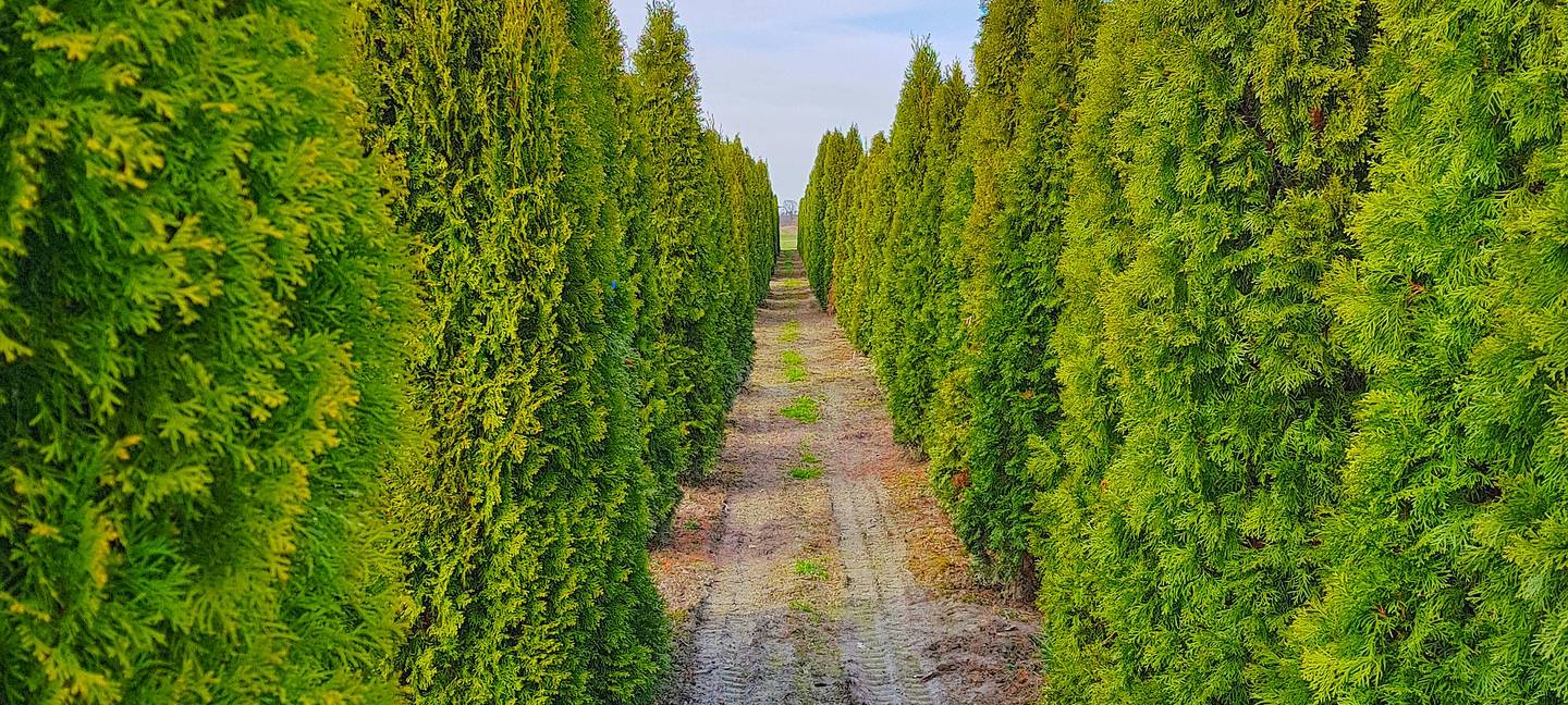 Berufsvideos für die Landwirtschaft
