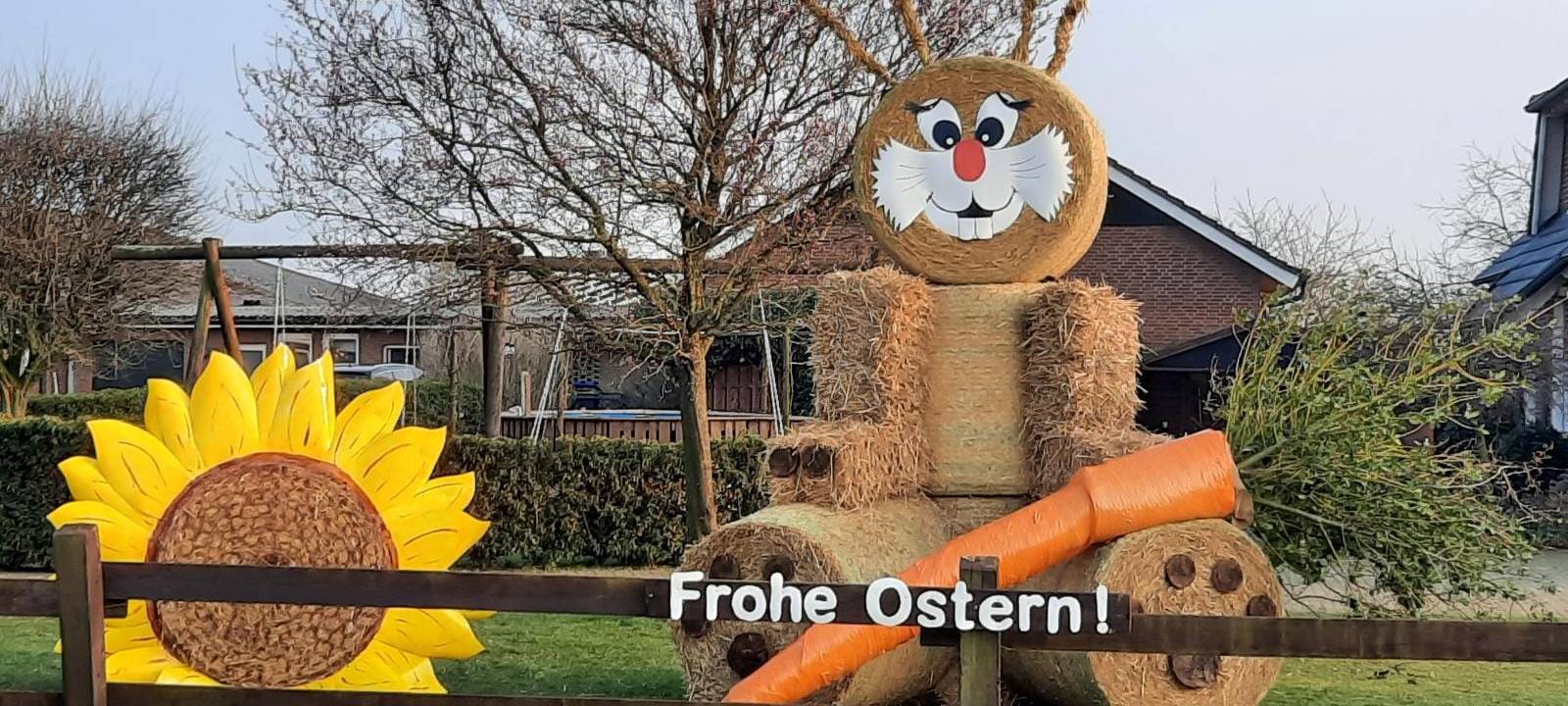 Die Bocholter Bauernblumenwiese