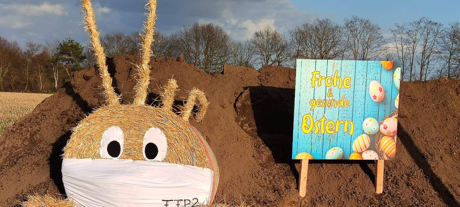 Die Bocholter Bauernblumenwiese