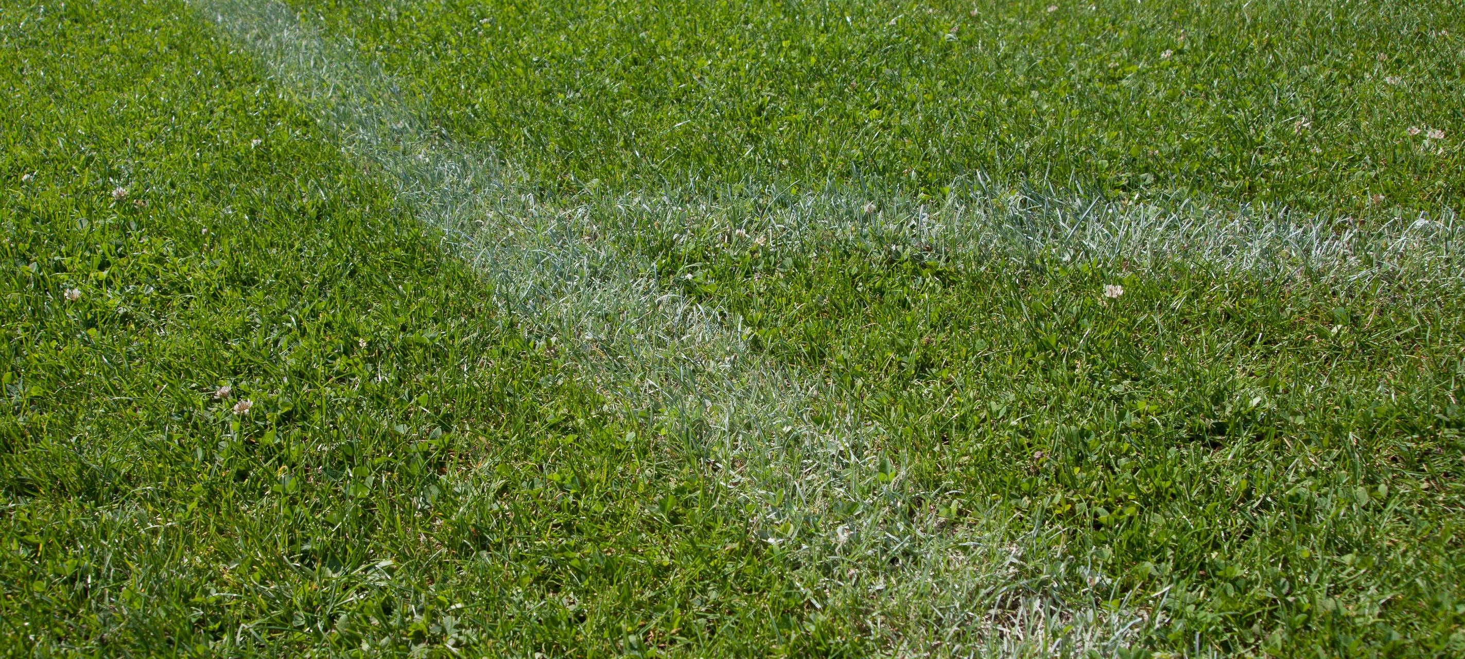 Immer mehr Rasenplätze im Kreis Borken gesperrt