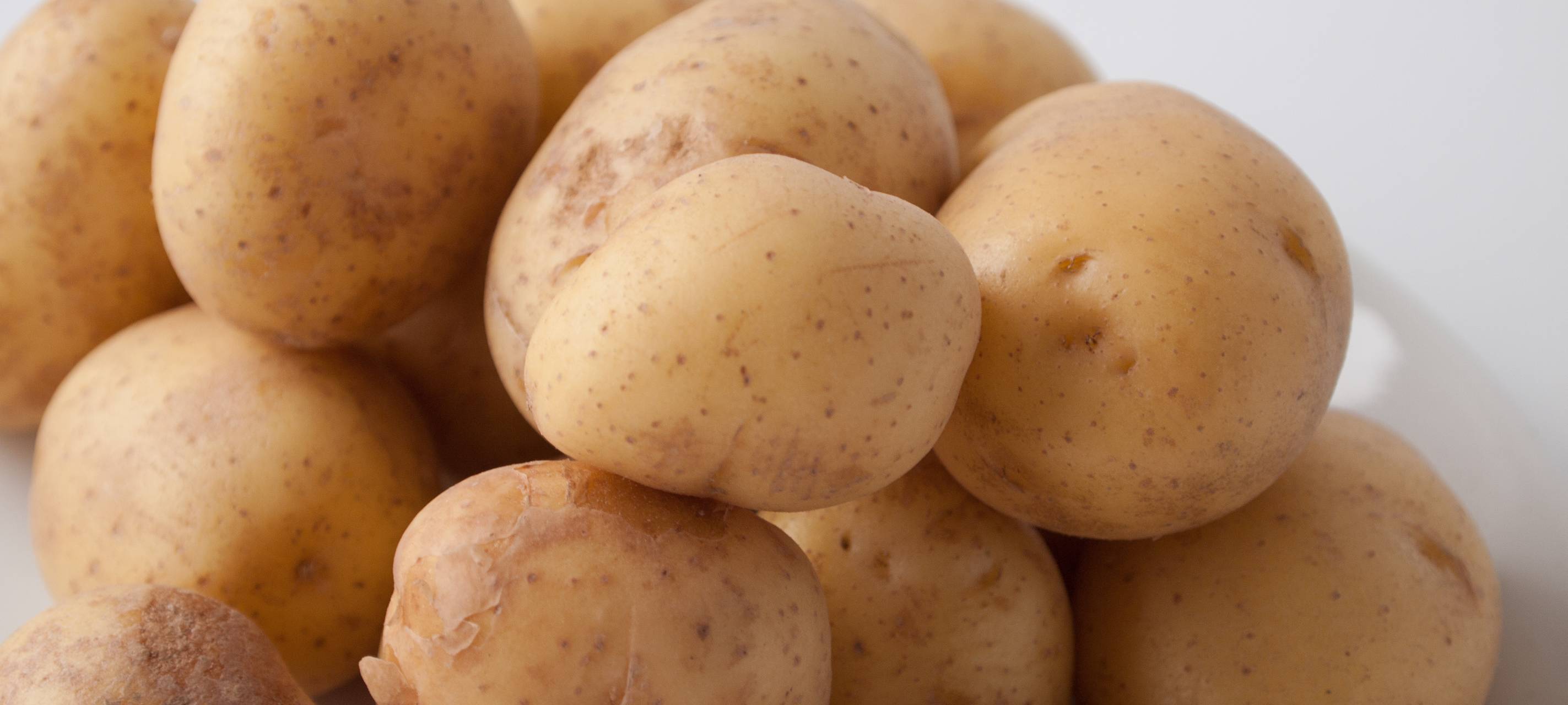 Kartoffelüberschuss im Westmünsterland