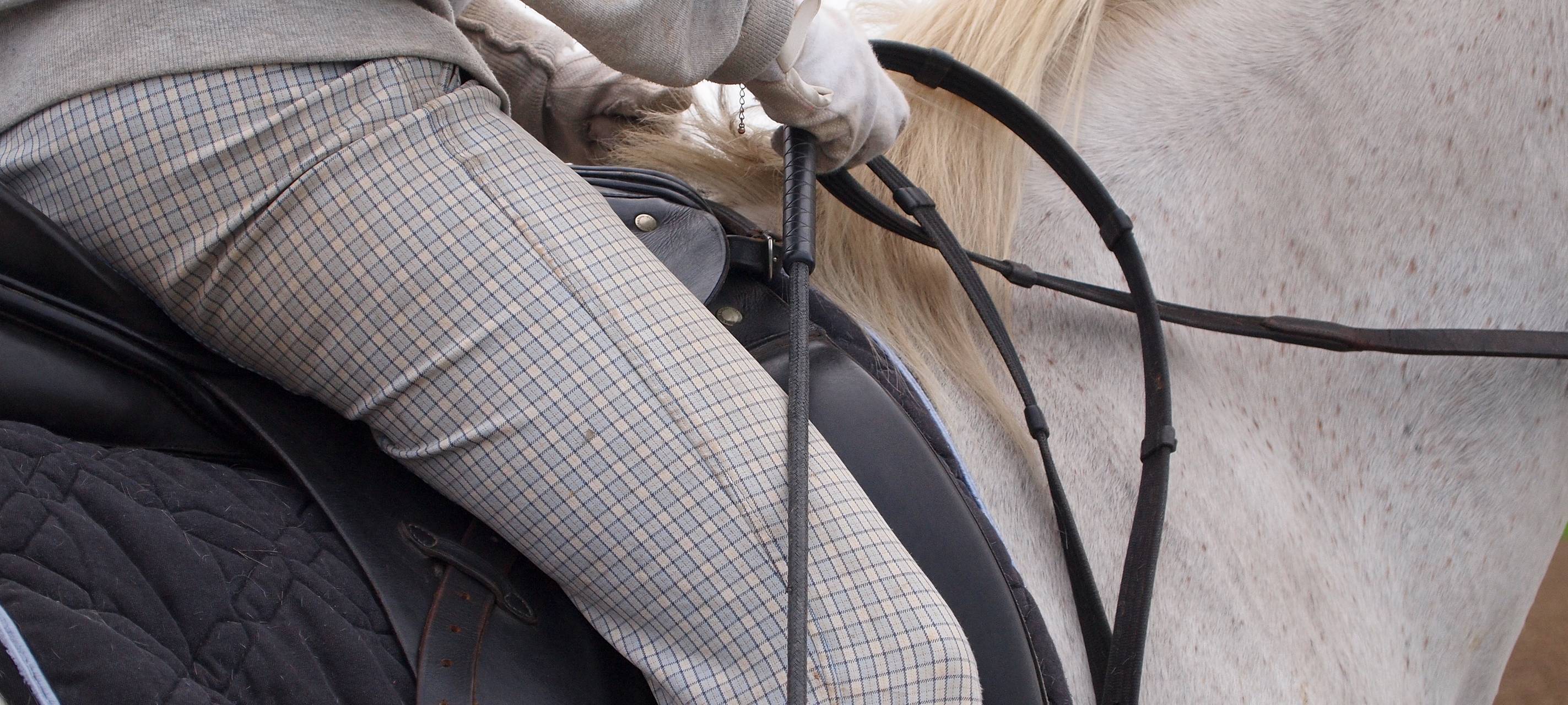 Reiten im Kreis Borken immer teurer